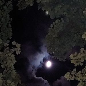 Meet your Posher, Isaac